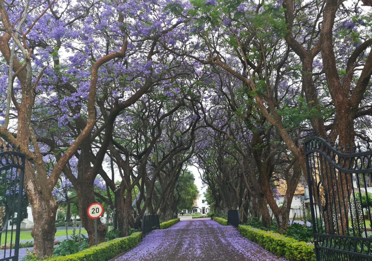 פרטוריה Kievits Kroon Gauteng Wine Estate מראה חיצוני תמונה